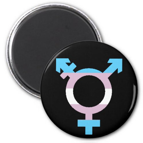 Trans Flag Symbol Magnet