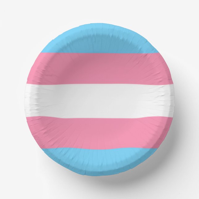 trans paper plate party decor bowls (Front)