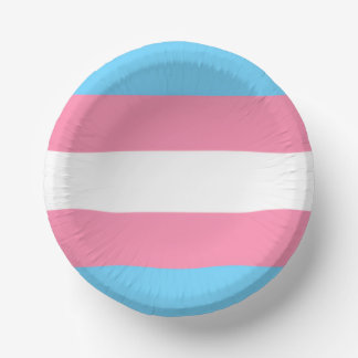 trans paper plate party decor paper bowls