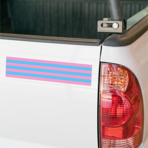 Trans Pride 1999 Historical Bumper Sticker