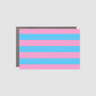 Trans Pride (1999 Historical) Car Magnet