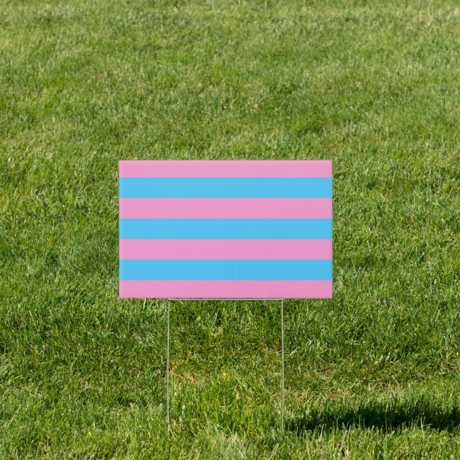 Trans Pride (1999 Historical) Sign (Insitu)