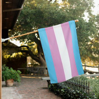 Trans Pride Flag - (2)