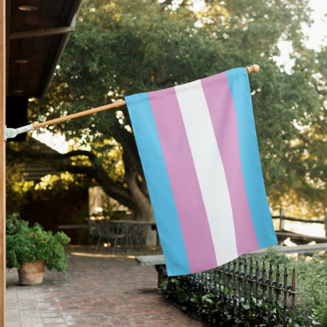 Trans Pride Flag - (2) (In SItu)