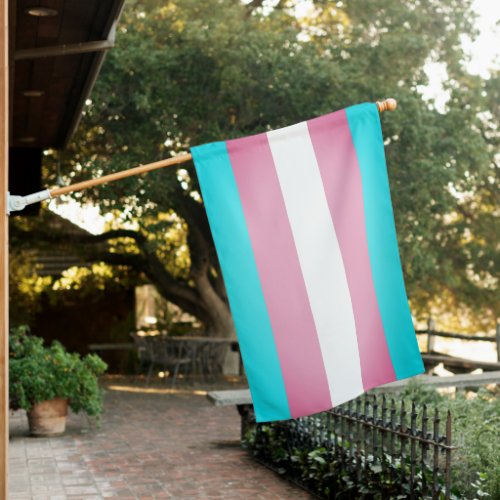 Trans Pride Flag _ 2