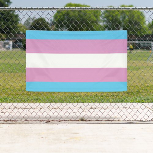 Trans Pride Flag _ 2 Banner