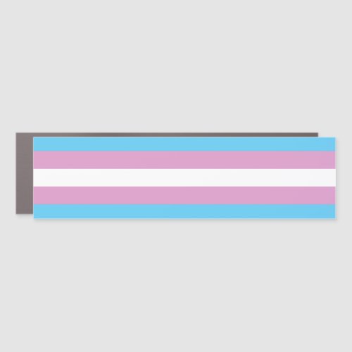 Trans Pride Flag _ 2 Car Magnet