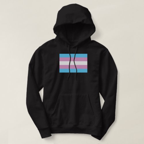 Trans Pride Flag _ 2 Hoodie