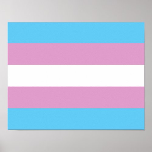 Trans Pride Flag _ 2 Poster