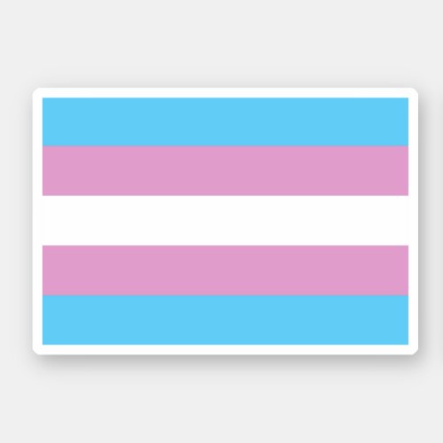 Trans Pride Flag _ 2 Sticker