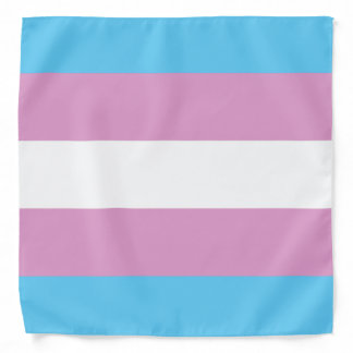 Trans Pride Flag Bandana