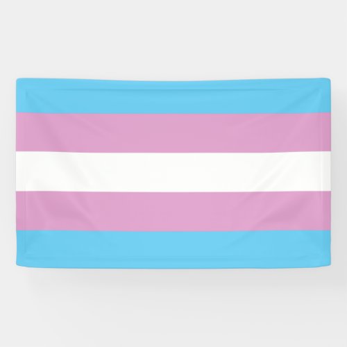 Trans Pride Flag Banner