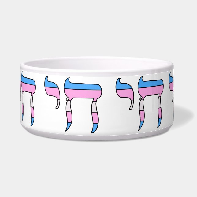 Trans Pride Flag Chai Bowl (Front)