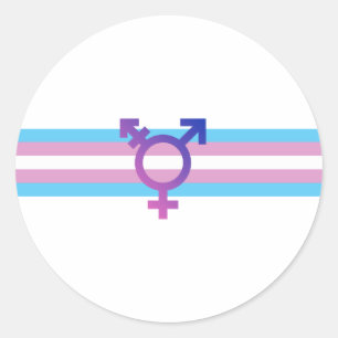 Trans Pride Flag Classic Round Sticker