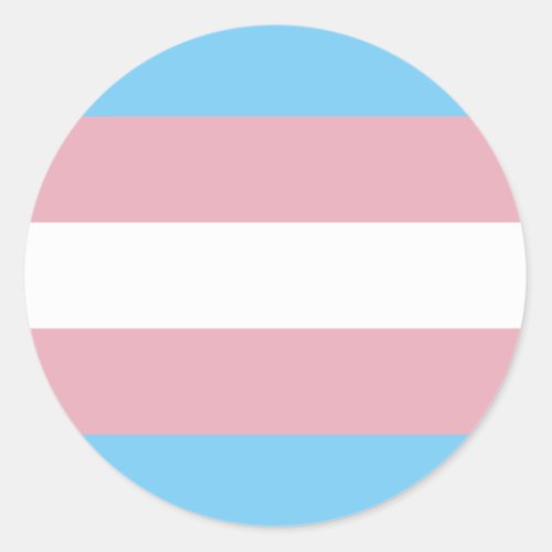 Trans Pride Flag Classic Round Sticker