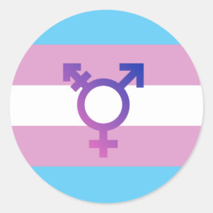 Trans Pride Flag Classic Round Sticker