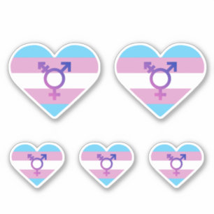 Trans Pride Flag Heart Sticker