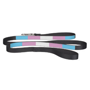 Trans Pride Flag Pet Leash