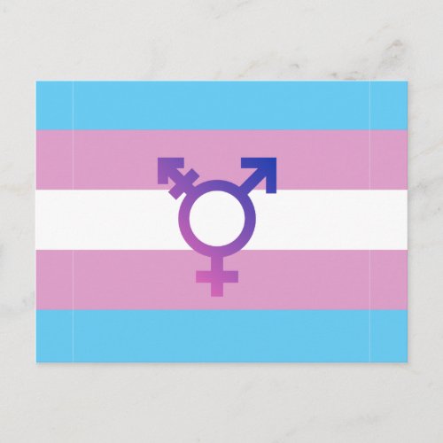 Trans Pride Flag Postcard