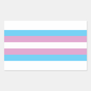 Trans Pride Flag Rectangular Sticker