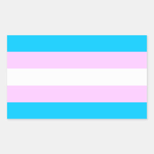 Trans pride flag stickers