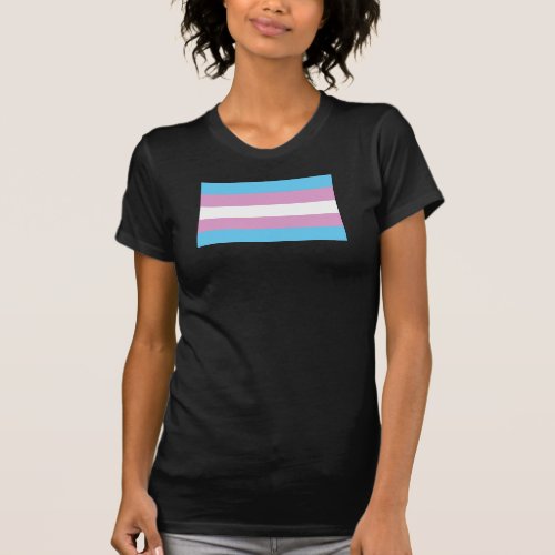 Trans Pride Flag T_Shirt