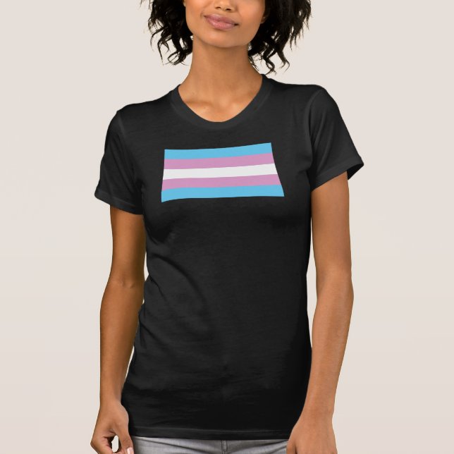 Trans Pride Flag T-Shirt (Front)