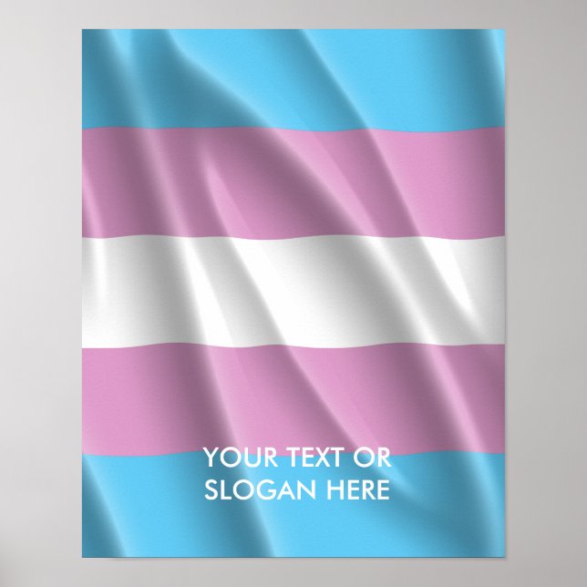 TRANS PRIDE POSTER (Front)