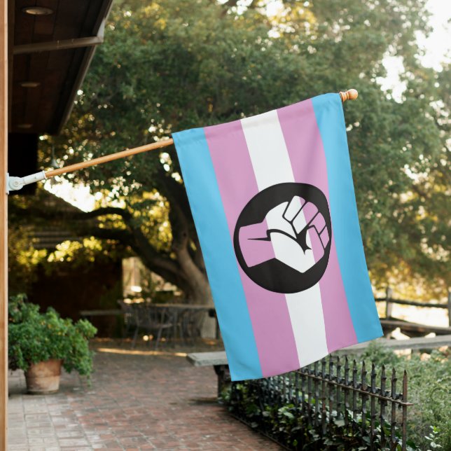 Trans Pride Protest Flag (In SItu)