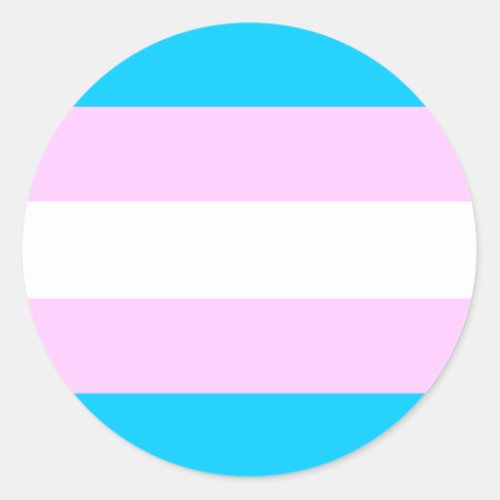 Trans Pride stickers _ round