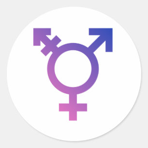 Trans Pride Symbol Classic Round Sticker