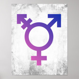 Trans Pride Symbol Poster
