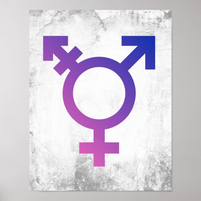 Trans Pride Symbol Poster (Front)