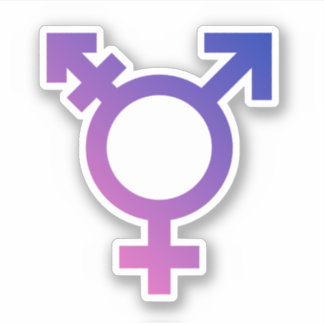 Trans Pride Symbol Sticker