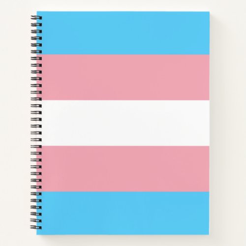 Trans Pride Transgender Pride Flag Notebook