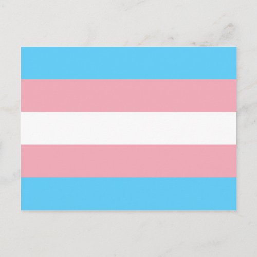 Trans Pride Transgender Pride Flag Postcard