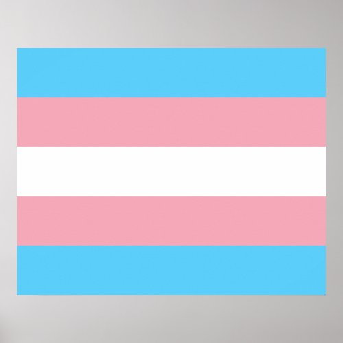Trans Pride Transgender Pride Flag Poster