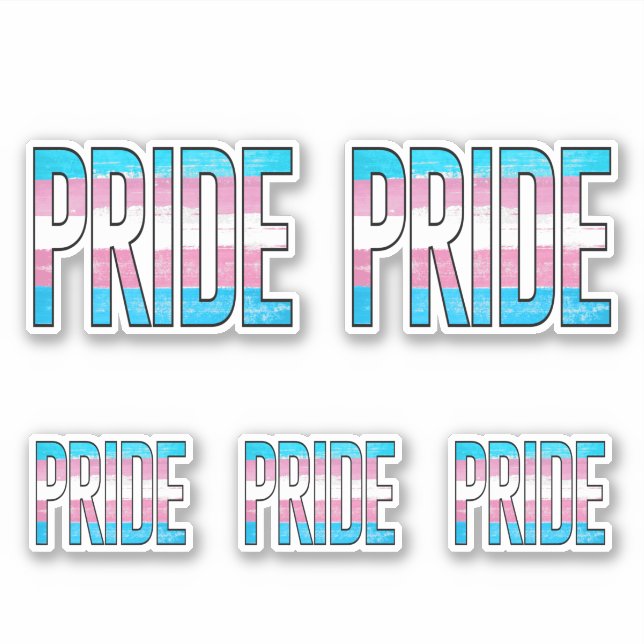 Trans Pride Word Sticker (Front)