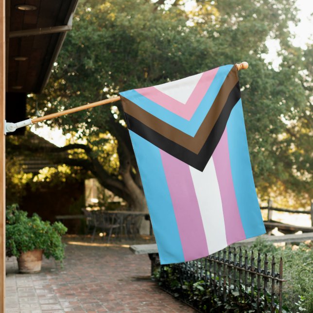 Trans Progress Pride Flag (In SItu)