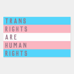 Trans Pride Gift decal Transgender Symbol Metallic Vinyl Sticker LGBT ...