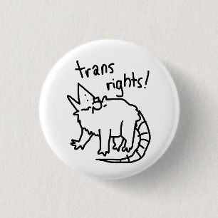 trans rights possum button