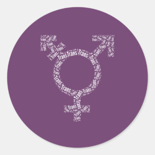 TRANS SYMBOL PATTERN WHITE CLASSIC ROUND STICKER