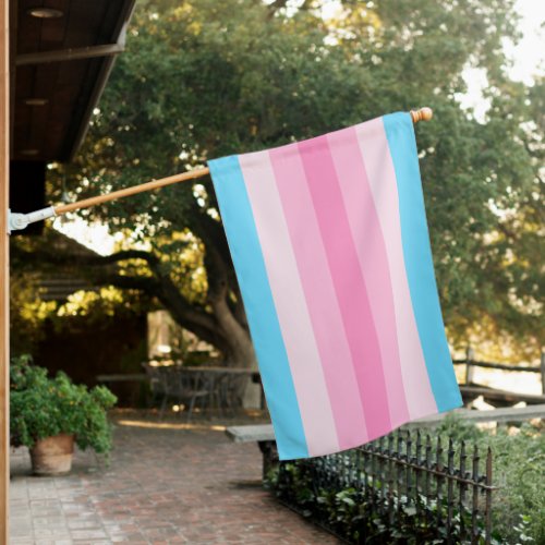 Transfeminine Pride House Flag