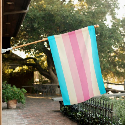 Transfeminine Pride House Flag