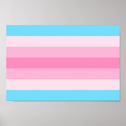 Transfeminine Pride Poster