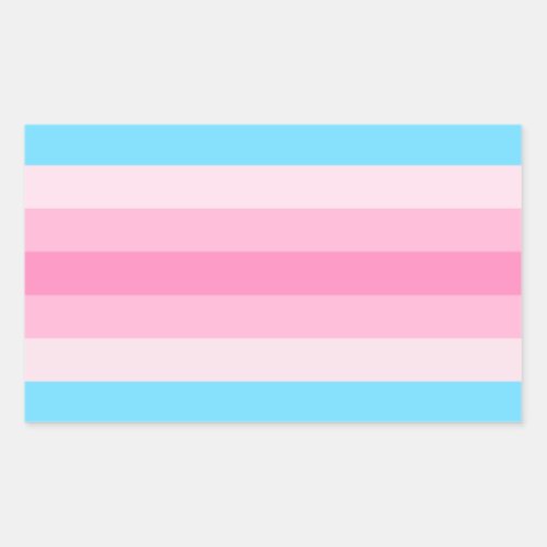 Transfeminine Pride Rectangular Sticker