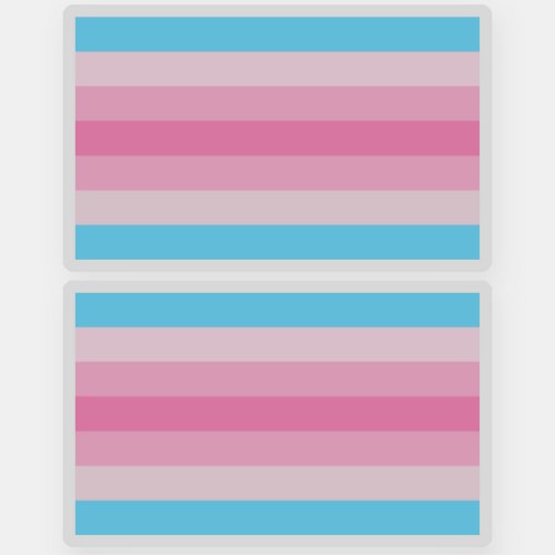 Transfeminine Pride Sticker
