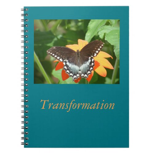 Transformation Journal