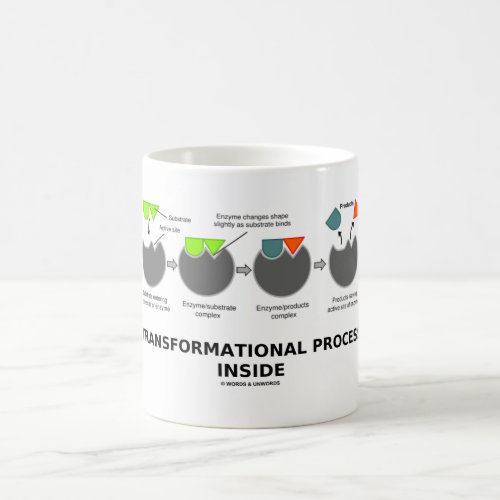 Transformational Process Inside Enzyme Substrate Coffee Mug