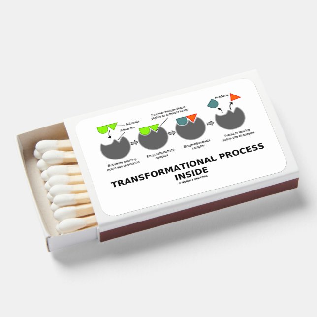 Transformational Process Inside Enzyme Substrate Matchboxes (Front Open)